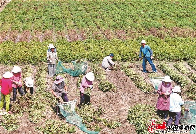 江蘇谷田精密科技怎么樣,江蘇谷田精密科技深度解析