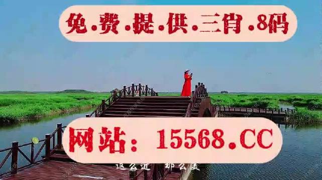 2023年管家婆精準資料一肖一碼,揭秘2023年管家婆精準資料一肖一碼背后的秘密