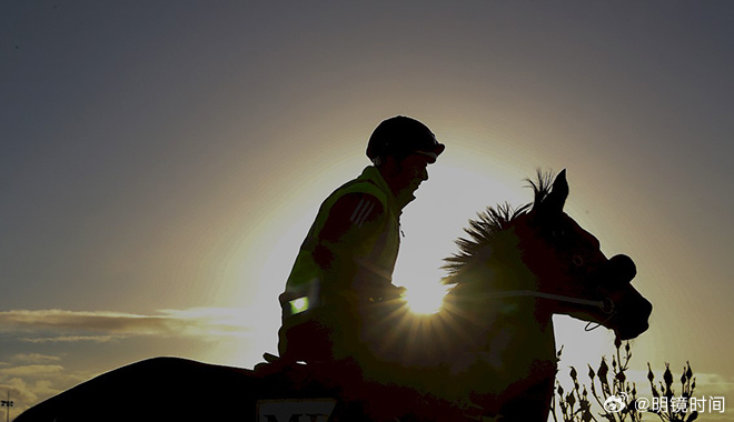 2024澳門特馬今晚開什么,關于澳門特馬今晚開什么的問題——警惕賭博犯罪風險