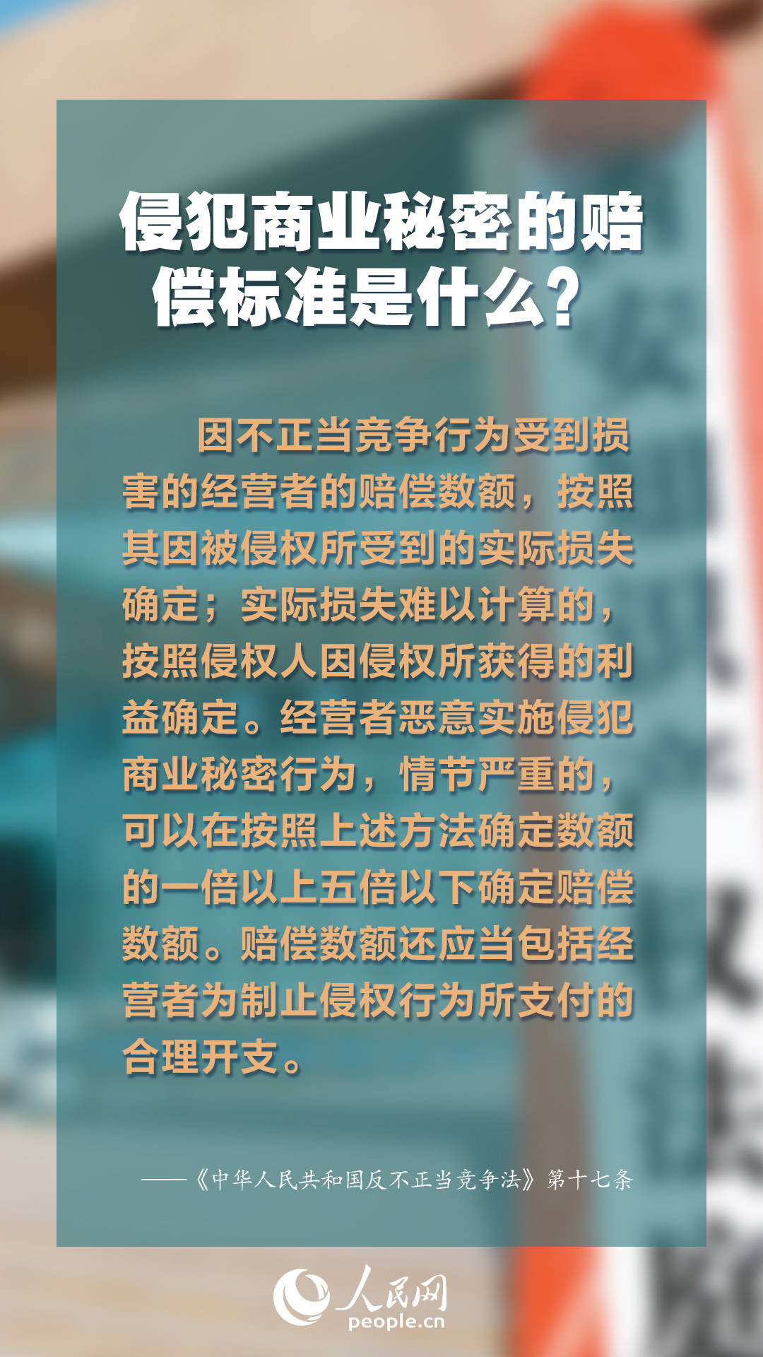 2024年正版資料免費大全特色,探索未來知識寶庫，2024正版資料免費大全特色展望