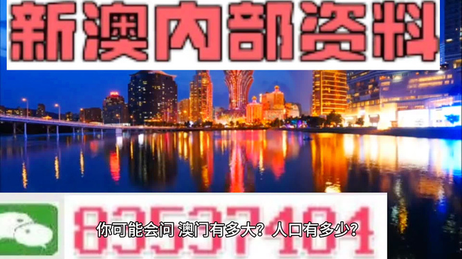 2024新澳精準資料免費提供,澳門內部,關于澳門內部資料與精準資料的探討——警示與提醒