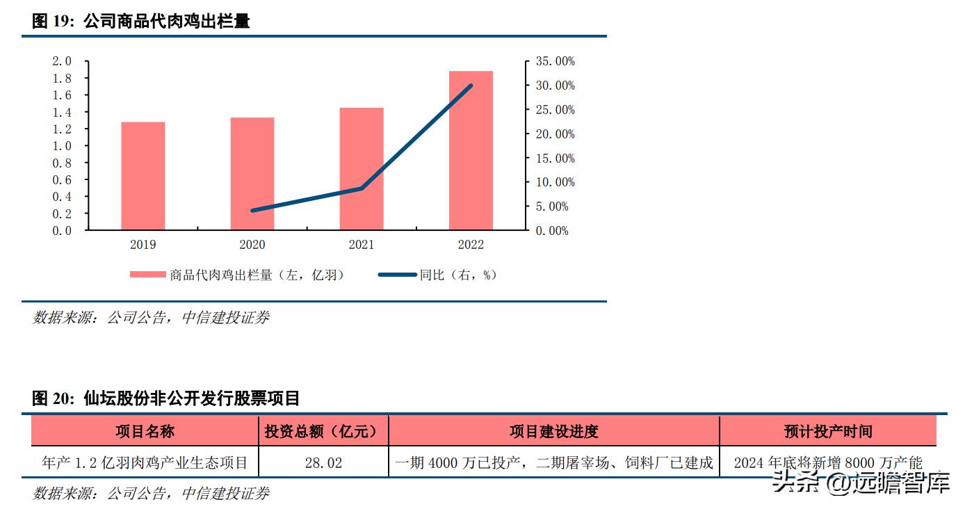 仙壇股份最新消息,仙壇股份最新消息全面解析