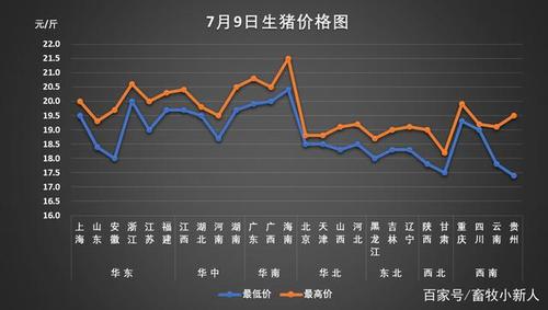 全國生豬價格最新行情,全國生豬價格最新行情分析