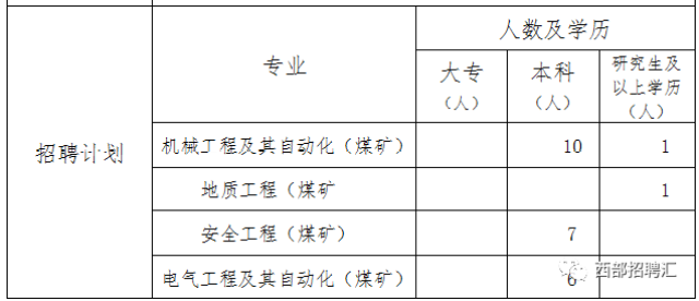 寶豐能源最新招聘信息,寶豐能源最新招聘信息及其職業前景展望