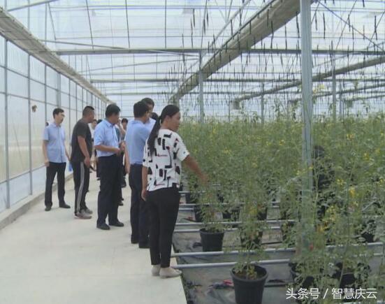 夏津縣教育局最新招聘信息,夏津縣教育局最新招聘信息詳解