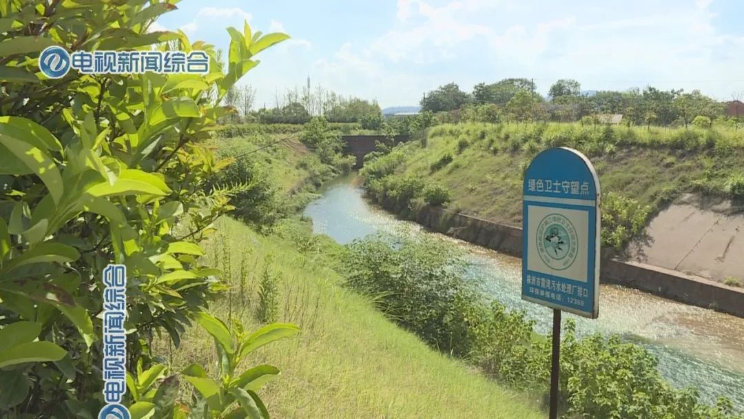 株洲市市環境保護局最新項目,株洲市環境保護局最新項目，邁向綠色發展的堅定步伐