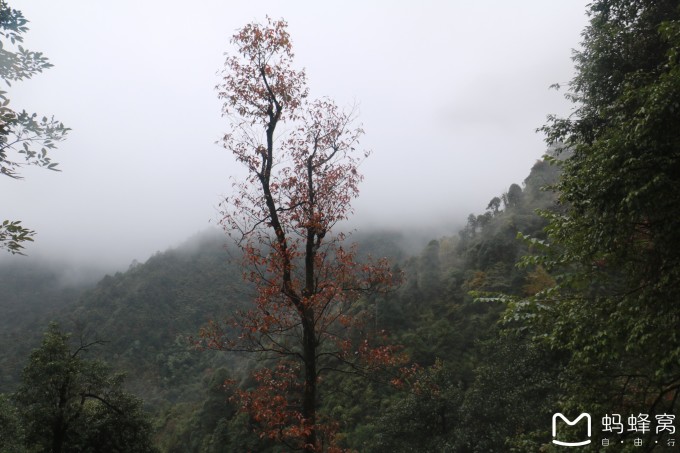 峻嶺林場最新天氣預(yù)報,峻嶺林場最新天氣預(yù)報