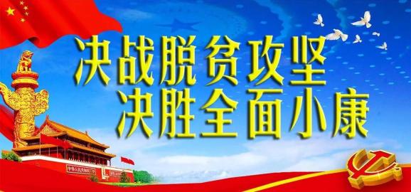 田灣村民委員會最新招聘信息,田灣村民委員會最新招聘信息概覽