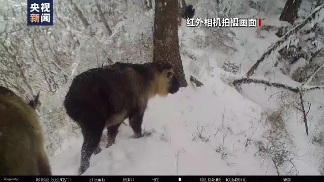 松潘縣自然資源和規(guī)劃局最新項目,松潘縣自然資源和規(guī)劃局最新項目，推動地方可持續(xù)發(fā)展與生態(tài)保護融合