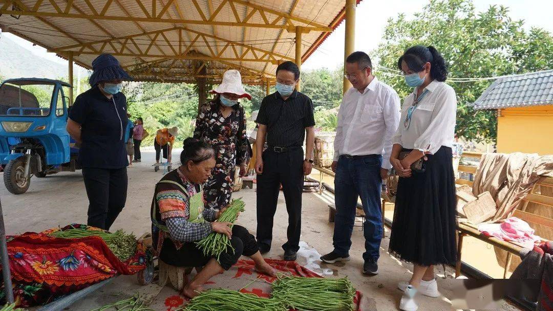 紅河哈尼族彝族自治州市郵政局最新新聞,紅河哈尼族彝族自治州郵政局最新新聞報道