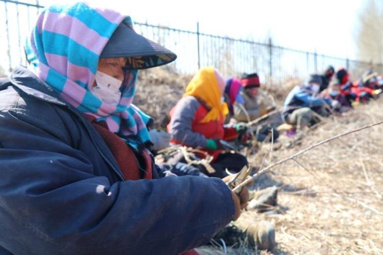 衡陽市苗圃農場最新領導,衡陽市苗圃農場最新領導團隊，引領農場走向新篇章