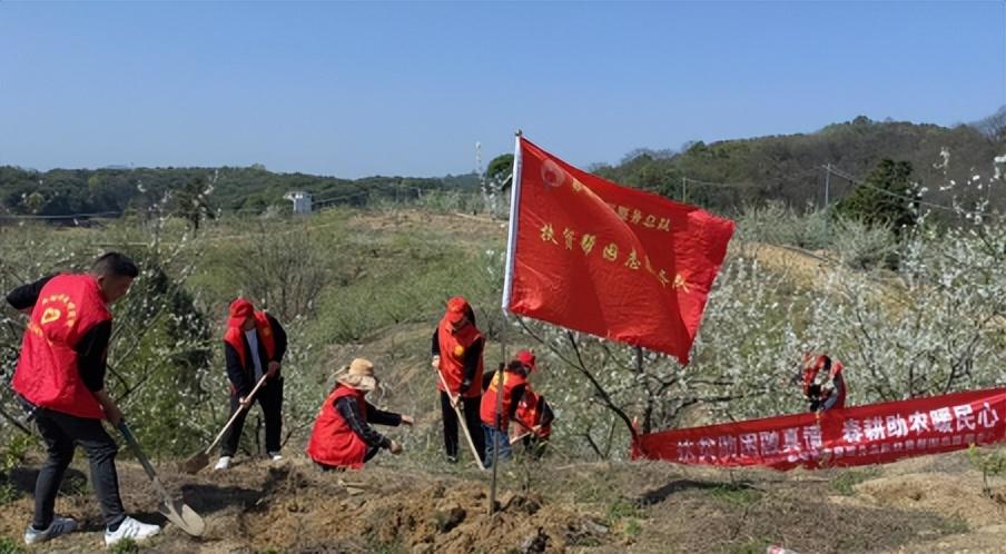 赤壁市體育局最新項目,赤壁市體育局最新項目，點燃城市活力，塑造健康未來