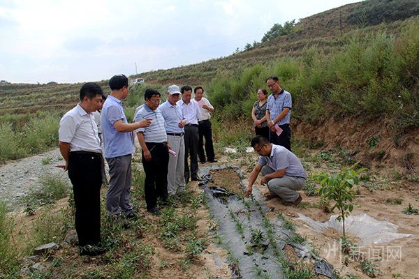 葛家岔村民委員會最新項目,葛家岔村民委員會最新項目，重塑鄉村未來