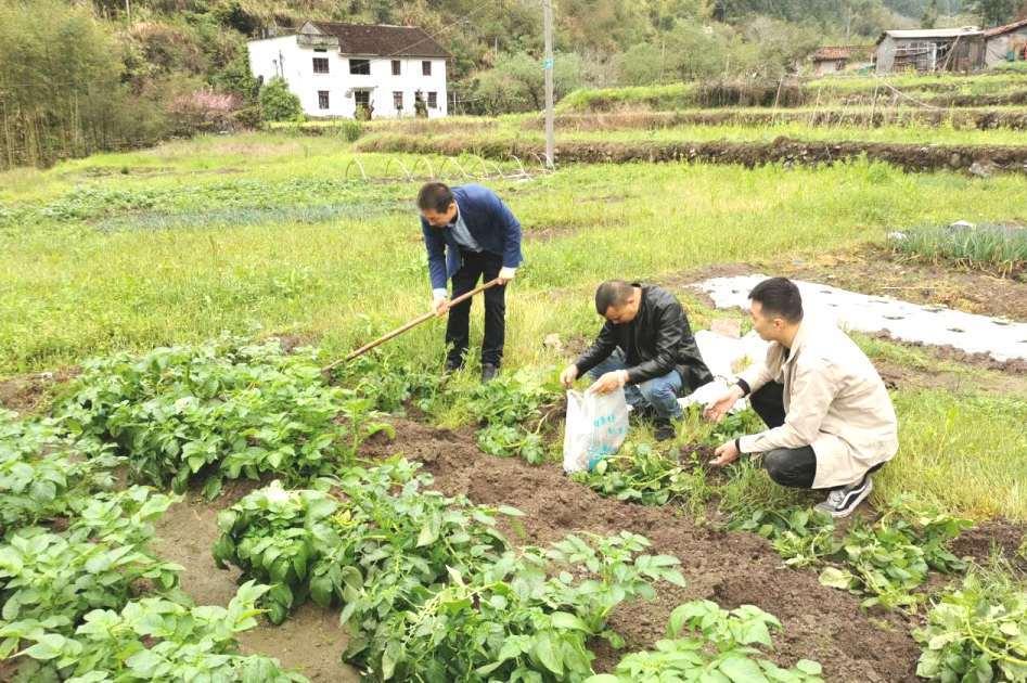 沙灣區市場監督管理局最新項目,沙灣區市場監督管理局最新項目，推動市場監管現代化，助力地方經濟高質量發展