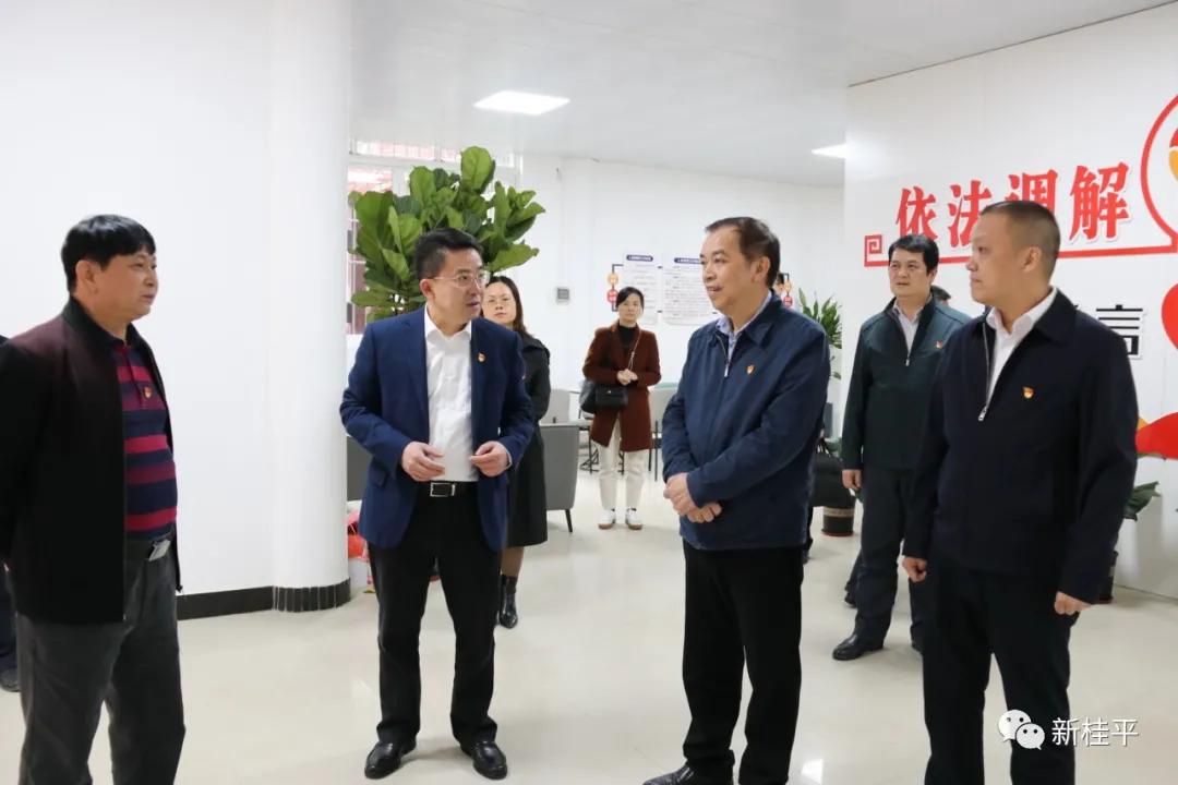 桂平市審計局最新項目,桂平市審計局最新項目概況及其重要性分析