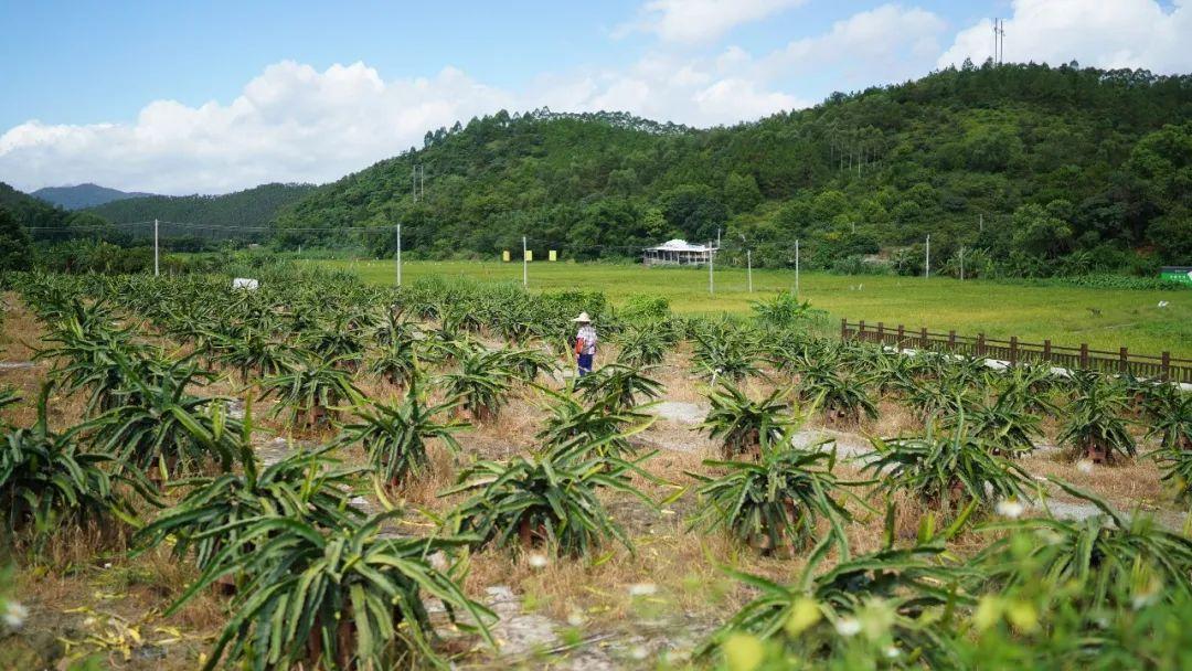 云城區科技局等最新招聘信息,云城區科技局等最新招聘信息及職業機會探討