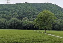 三河鎮最新天氣預報,三河鎮最新天氣預報