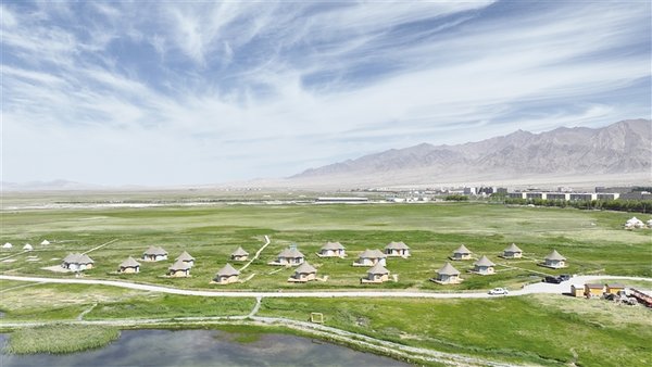 海西蒙古族藏族自治州市林業(yè)局最新項目,海西蒙古族藏族自治州林業(yè)局最新項目動態(tài)