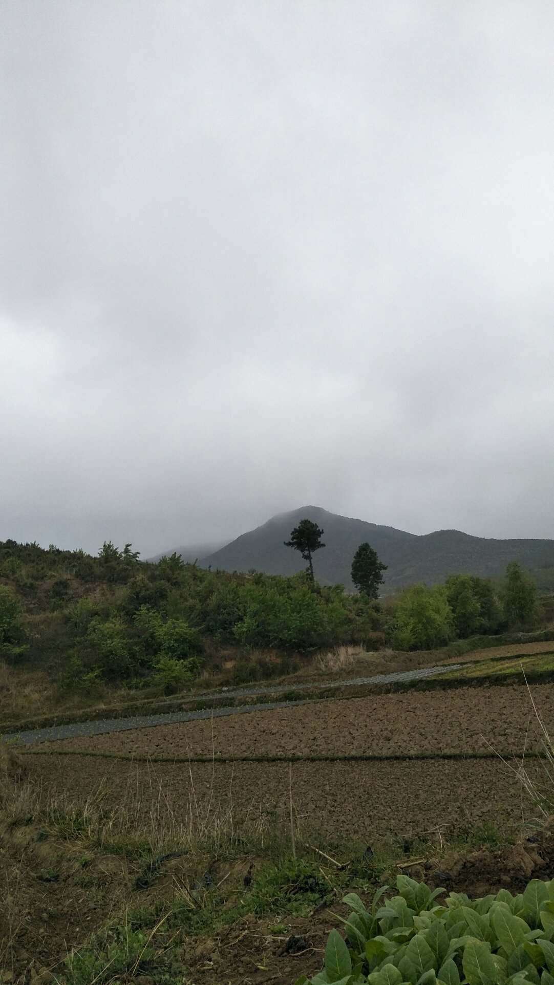 喬利鄉最新天氣預報,喬利鄉最新天氣預報