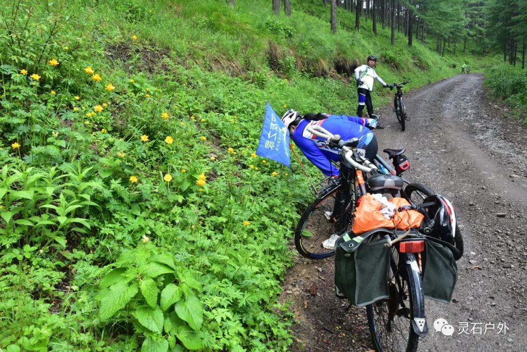 山西省晉中市靈石縣南關鎮最新天氣預報,山西省晉中市靈石縣南關鎮最新天氣預報