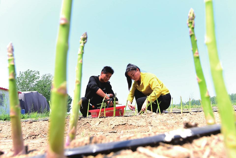 李臺鎮最新新聞,李臺鎮最新新聞報道