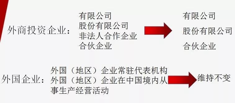 新澳門今晚精準一肖|冷靜釋義解釋落實,新澳門今晚精準一肖與冷靜釋義解釋落實